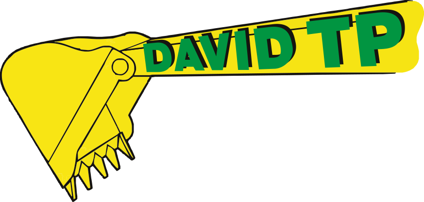 Logodavidtp